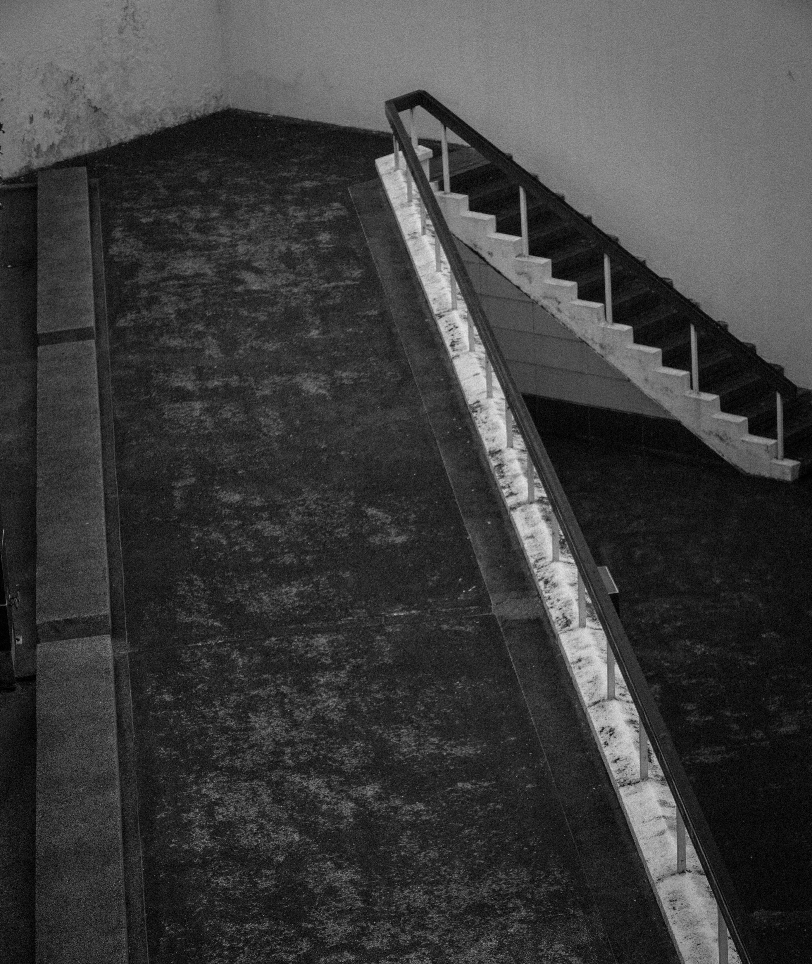 View from the Window