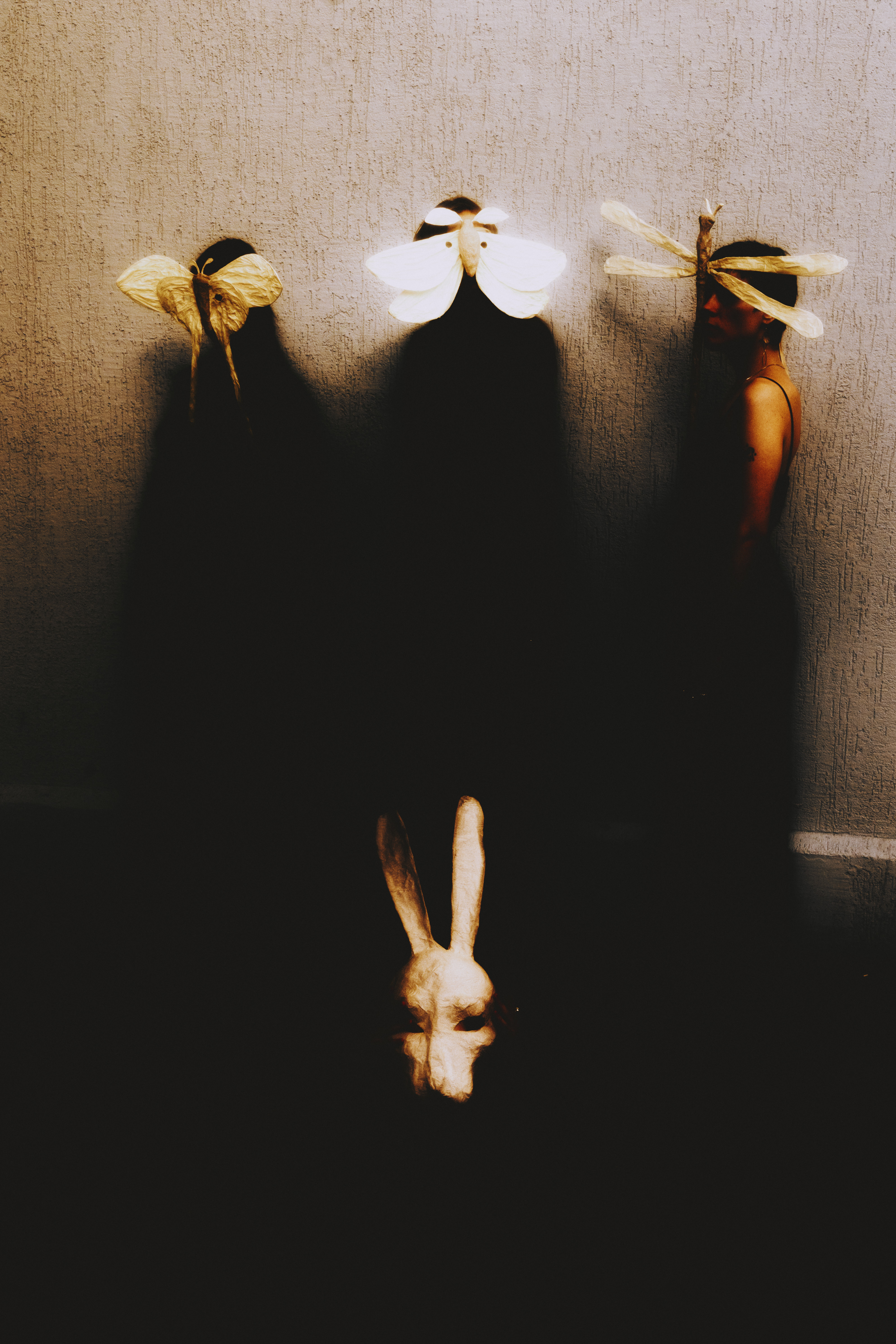 bunnies and butterflies