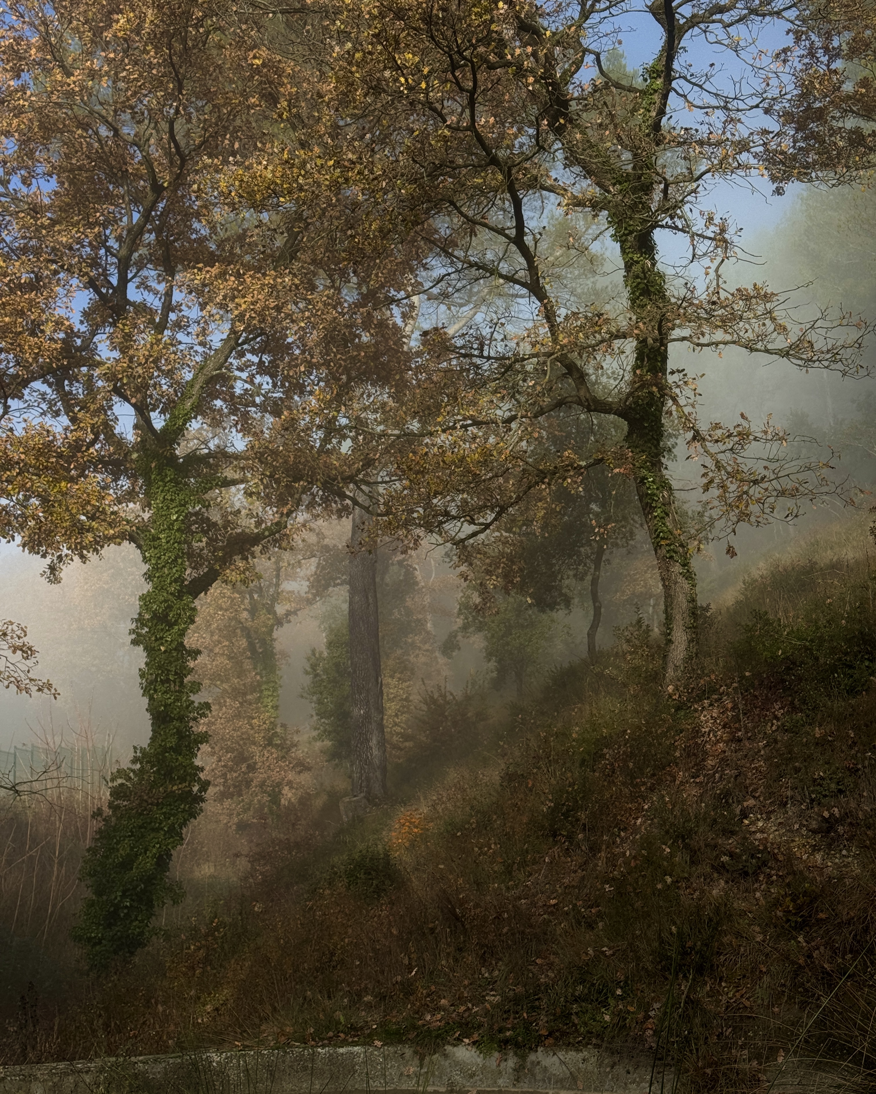 Watercolor landscape
