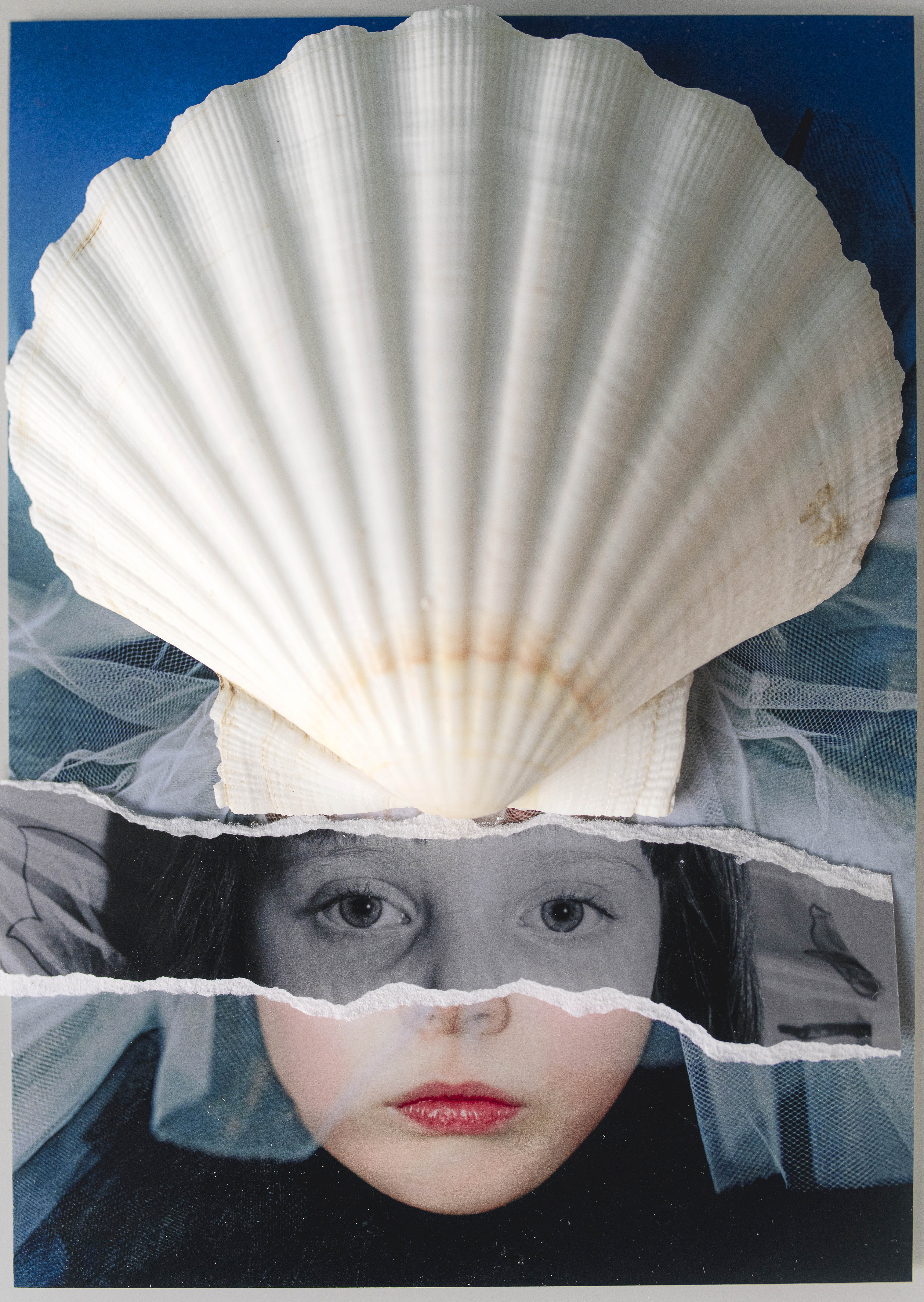 The sound of the sea