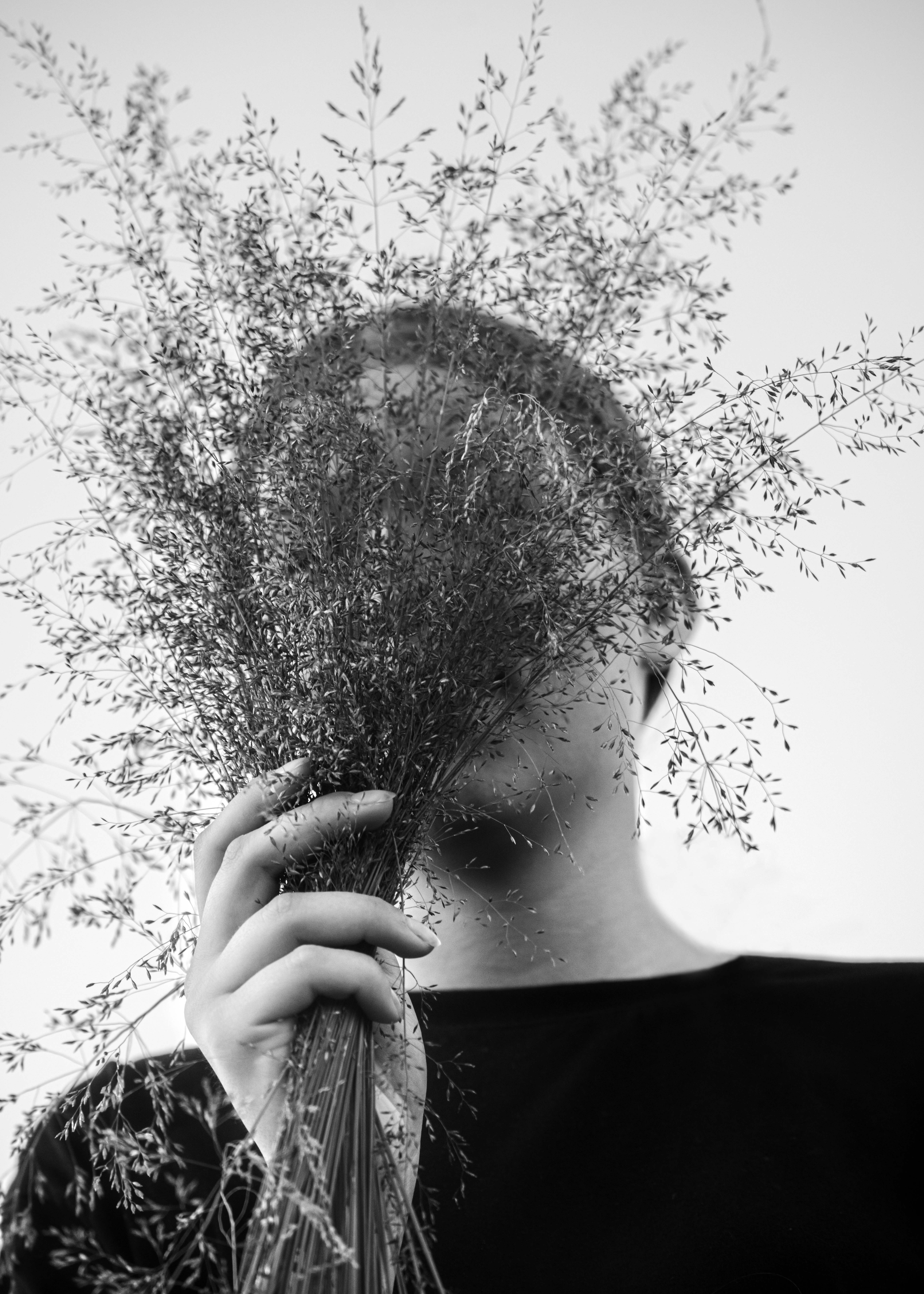 Eyes the color of grass