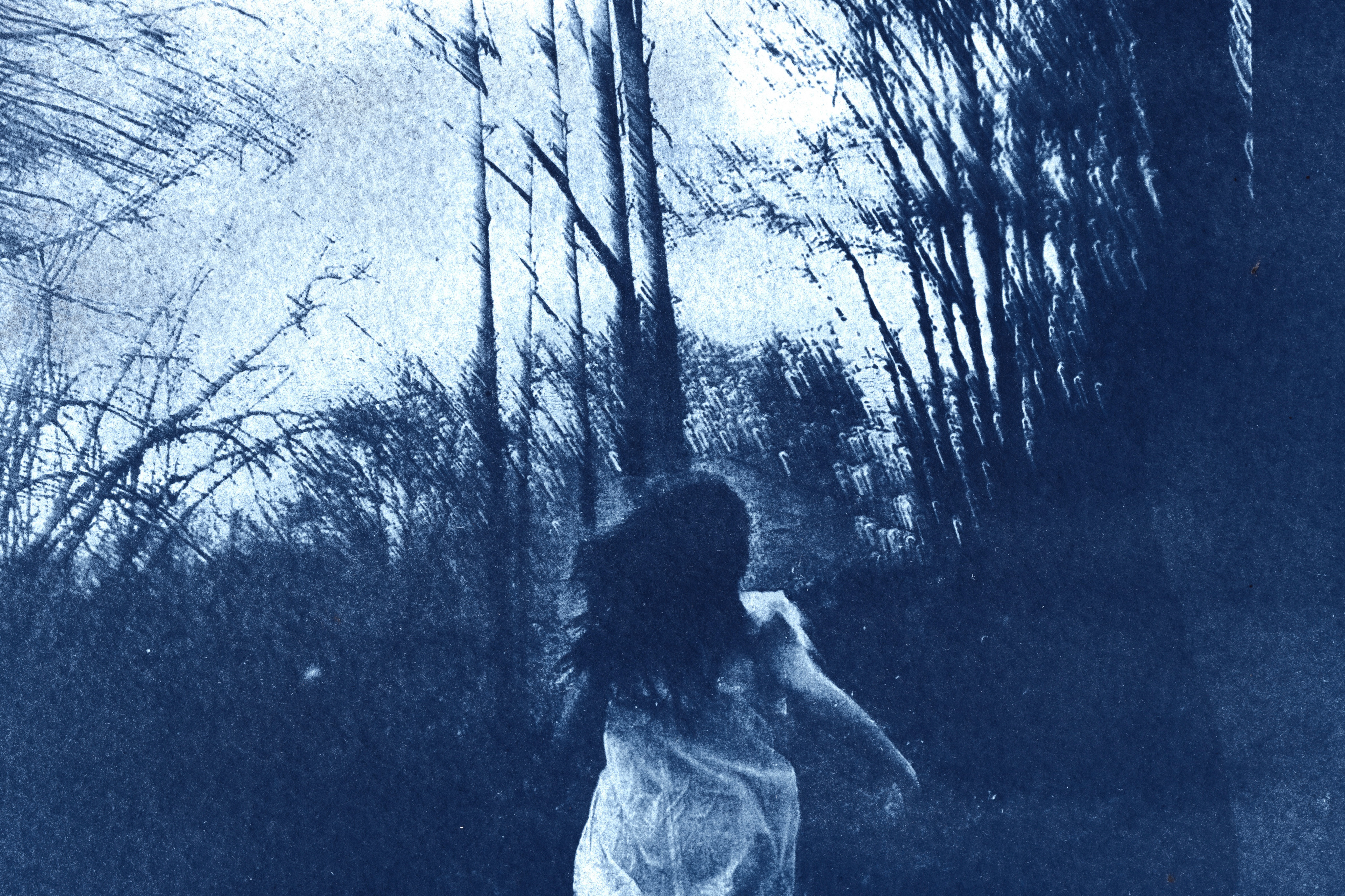 aracne