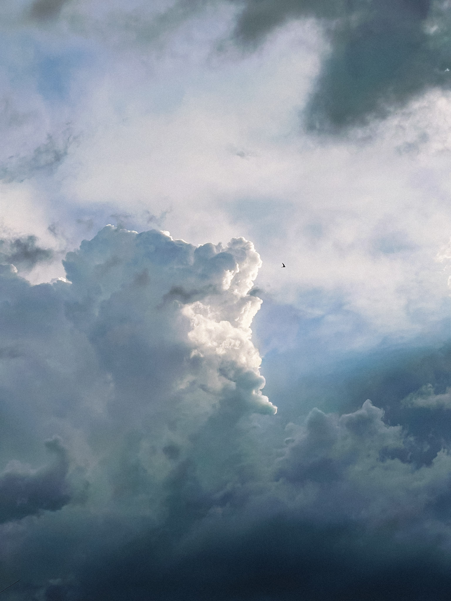 Artist banner