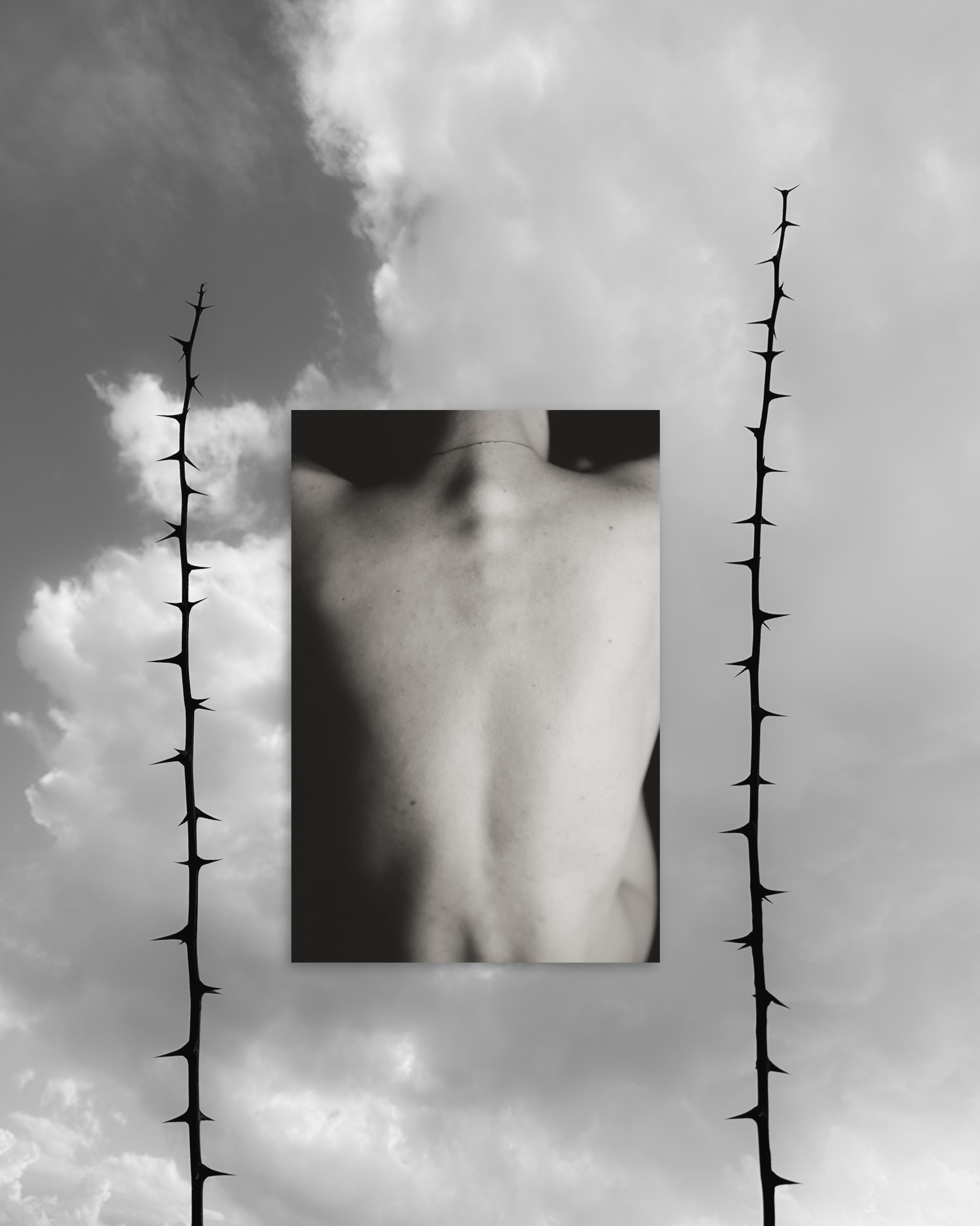 Spiky frames for feminine beauty