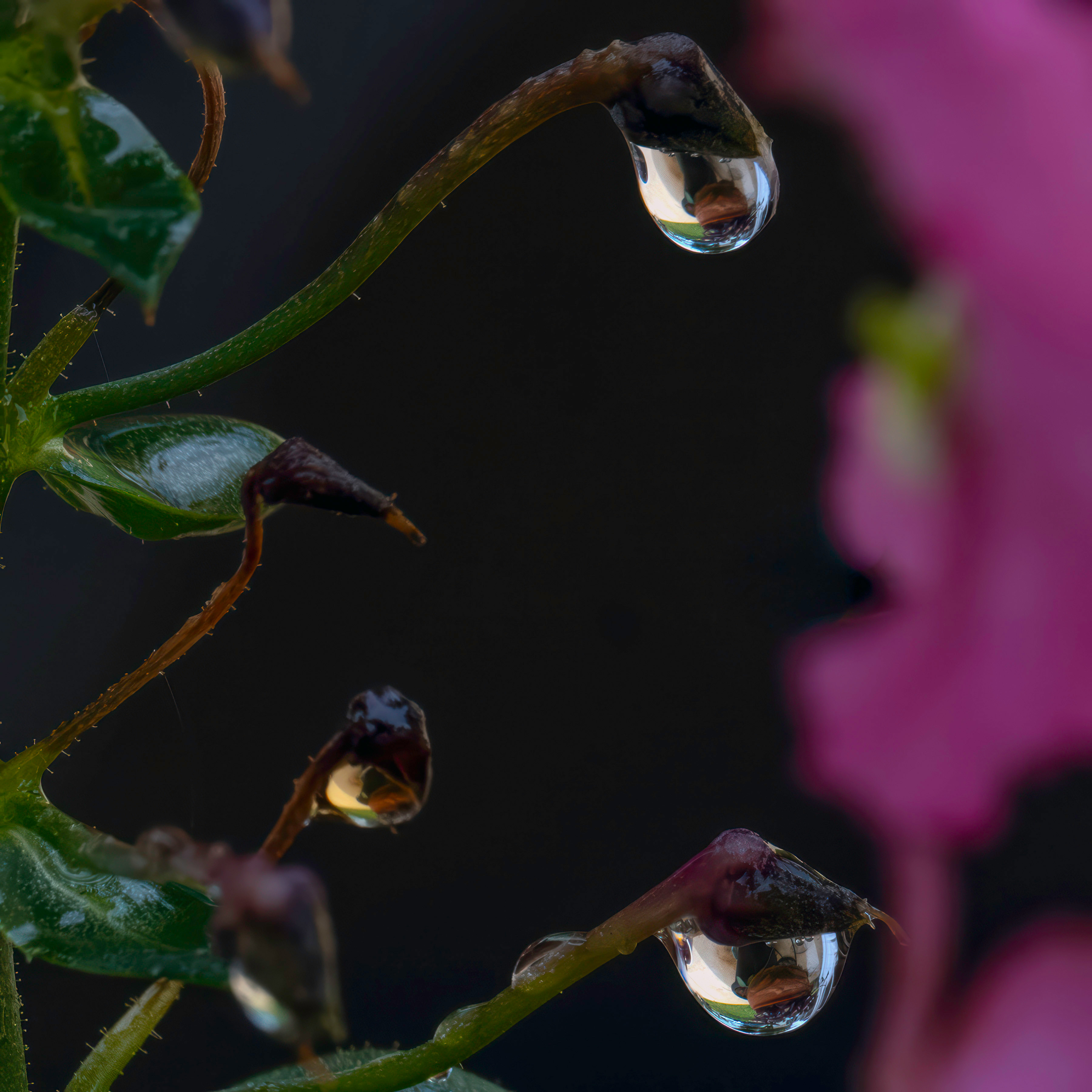 Suspended Moments