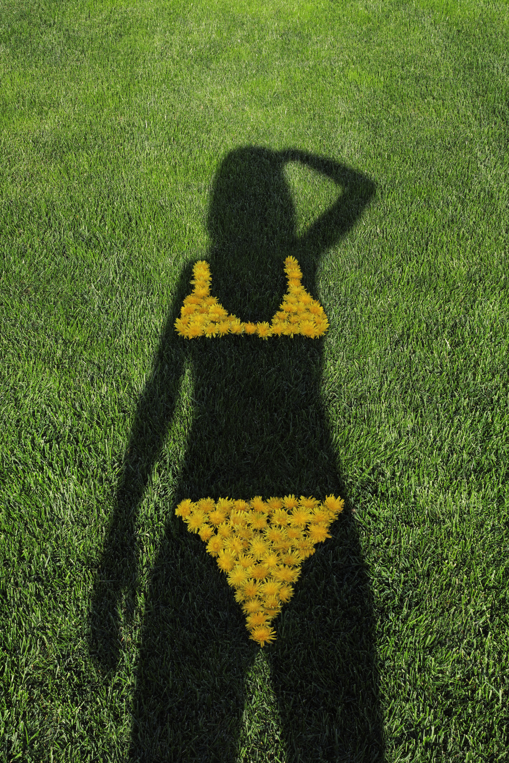 Picking flowers is forbidden!