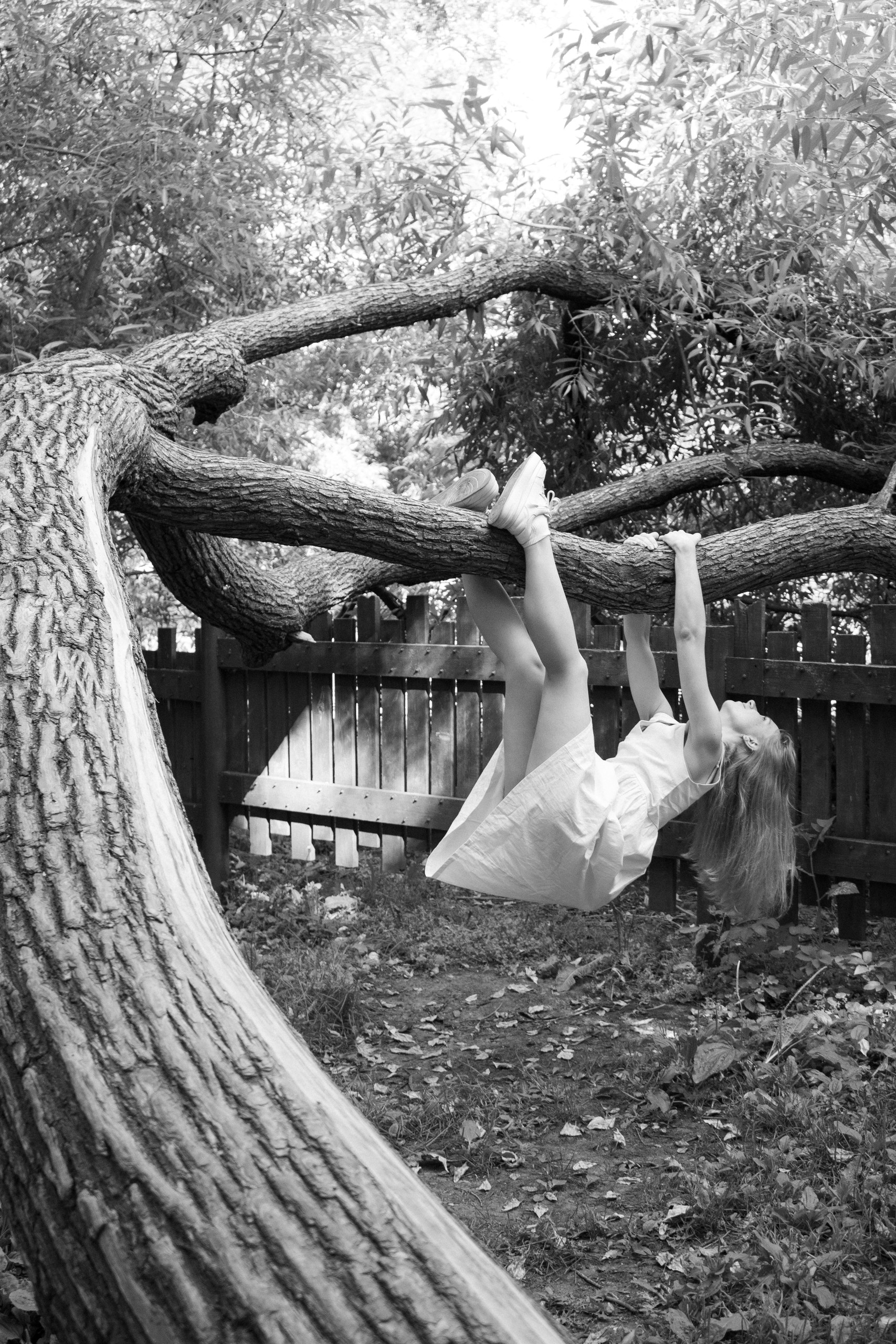 In the Tree’s Arms