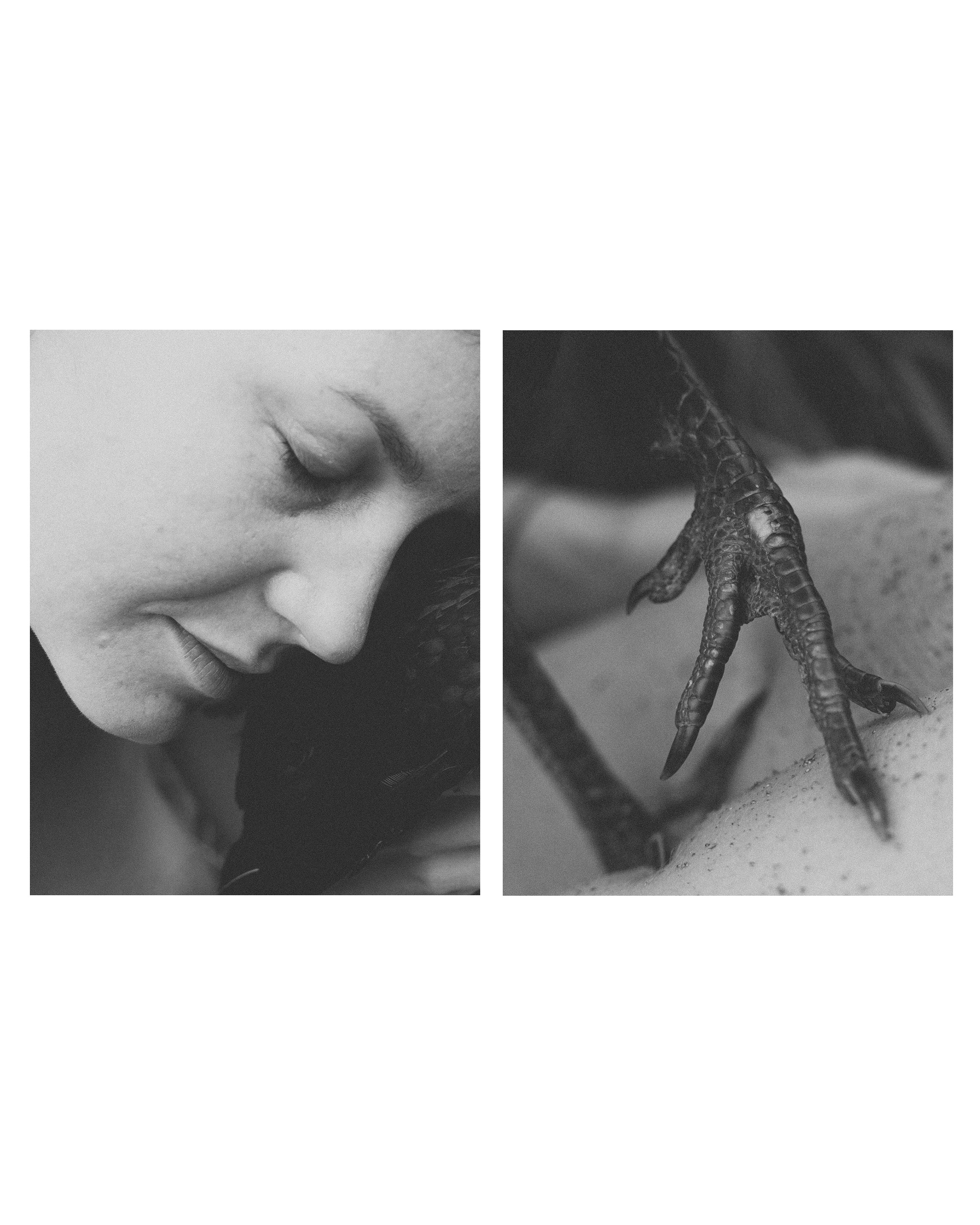 The Rooster Paradox.