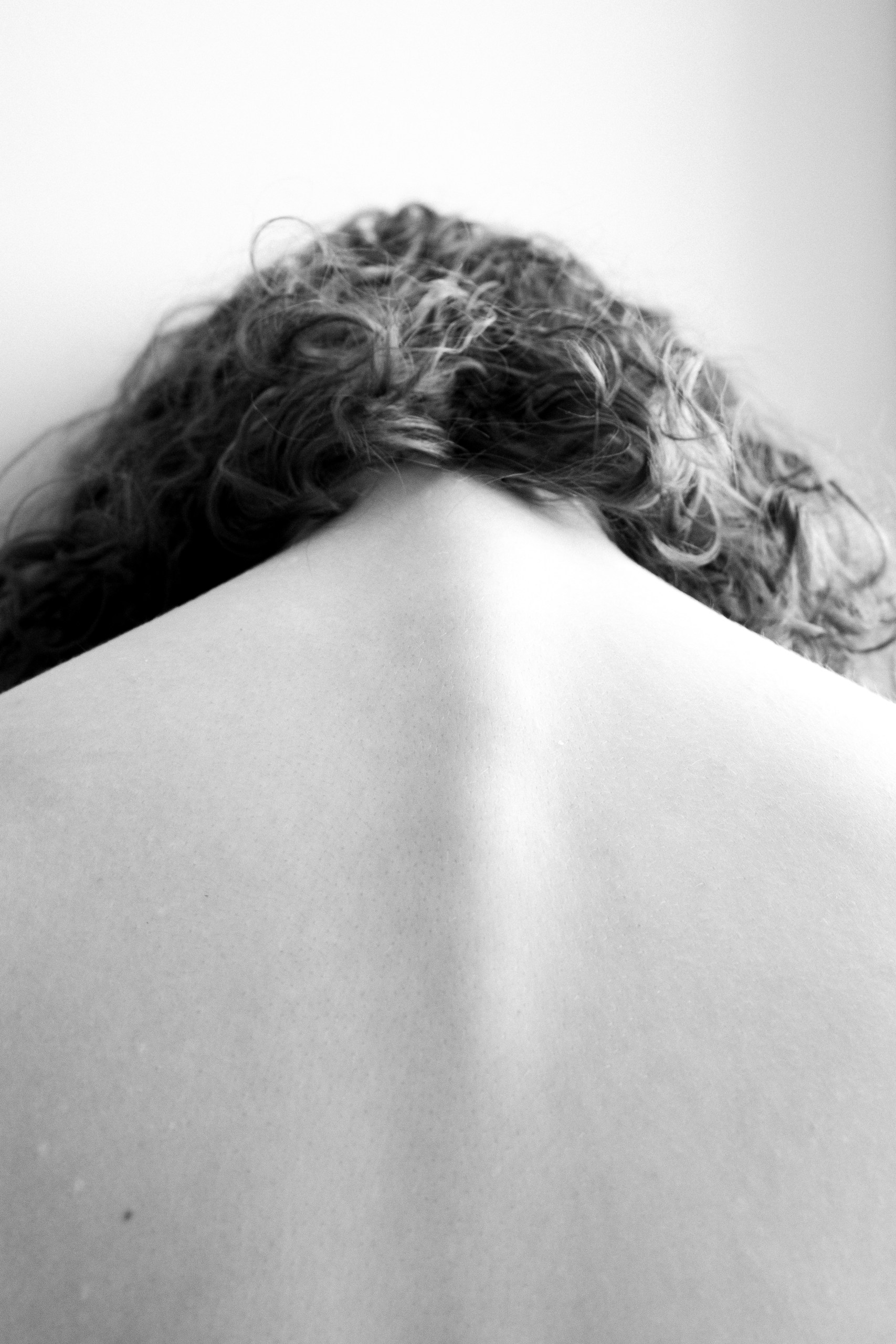 Landscape of Presence