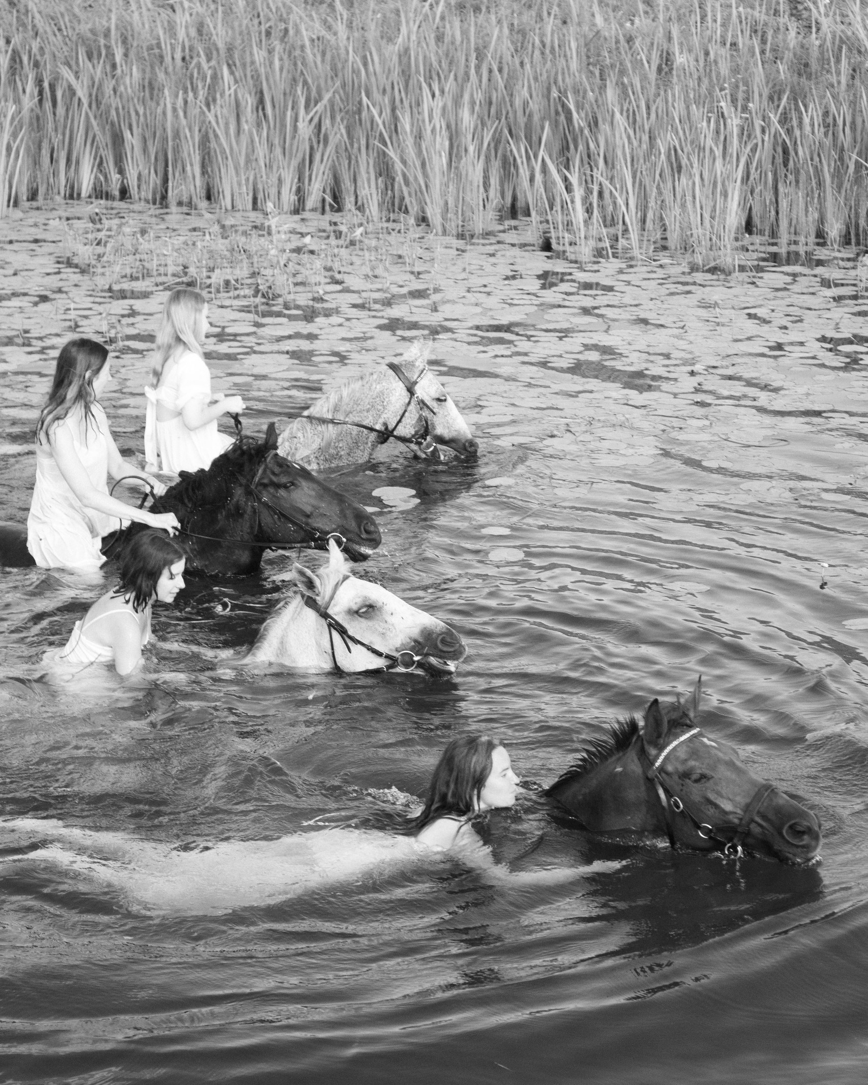 Horse bathing