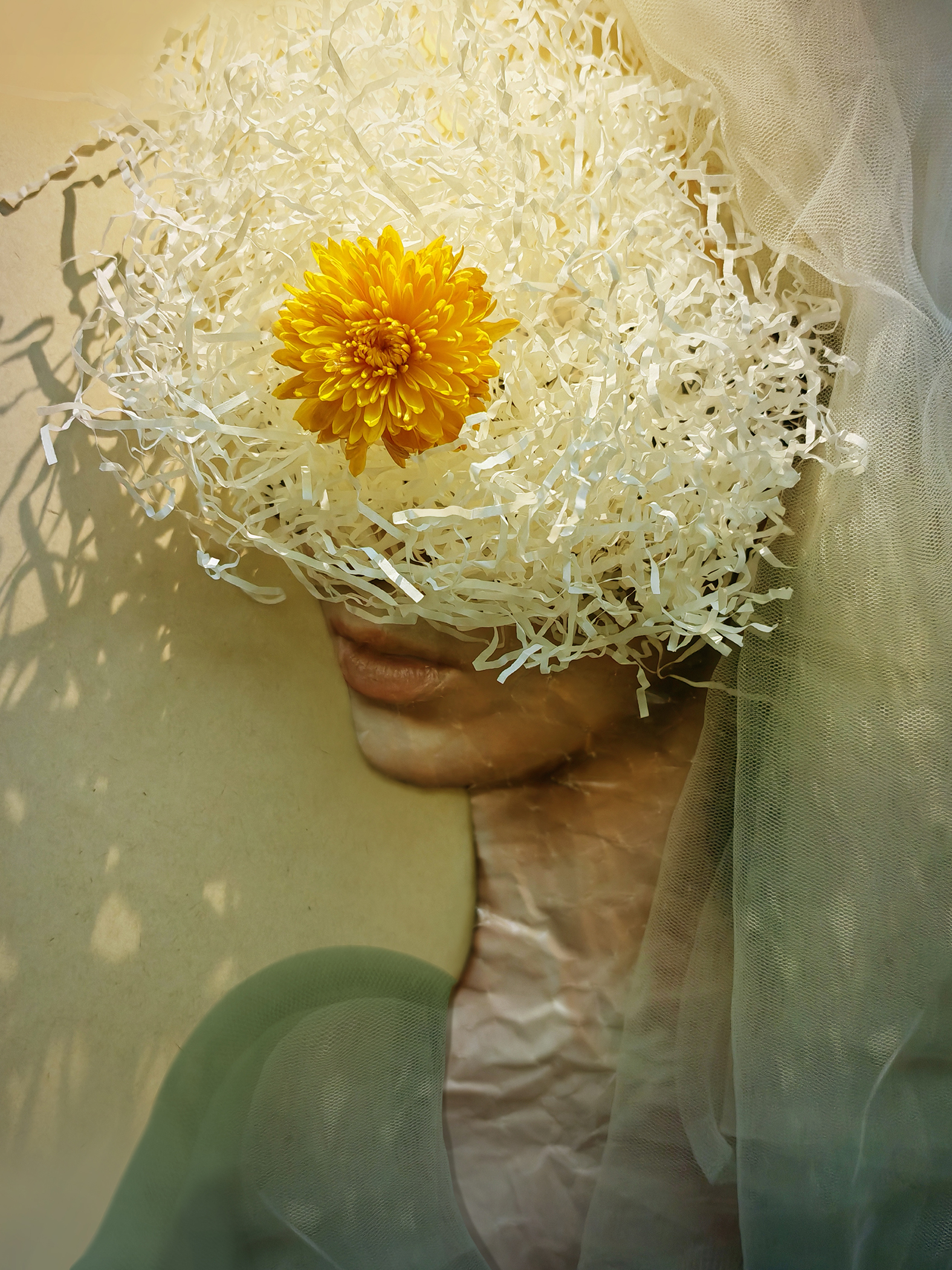 Crumpled by Life's Circumstances