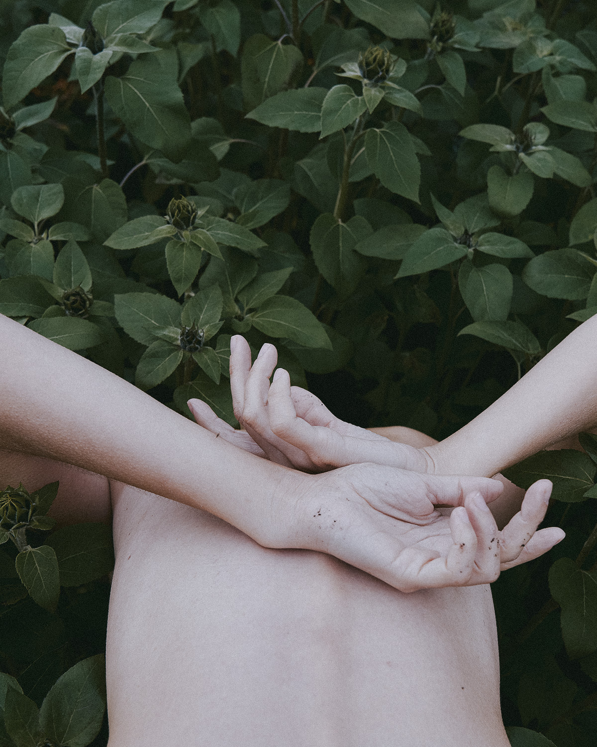 I will sprout flowers