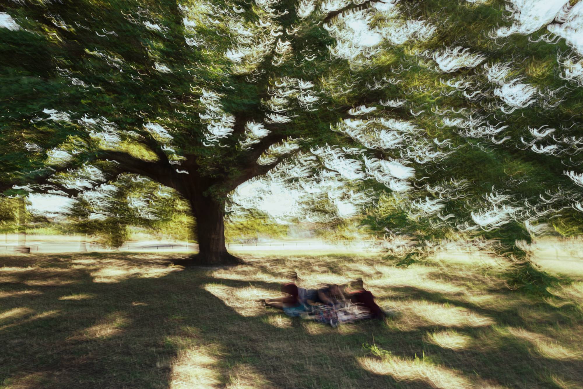 Picnic time