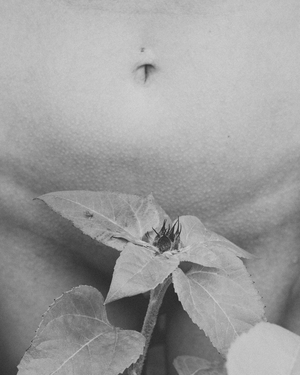 I will sprout flowers