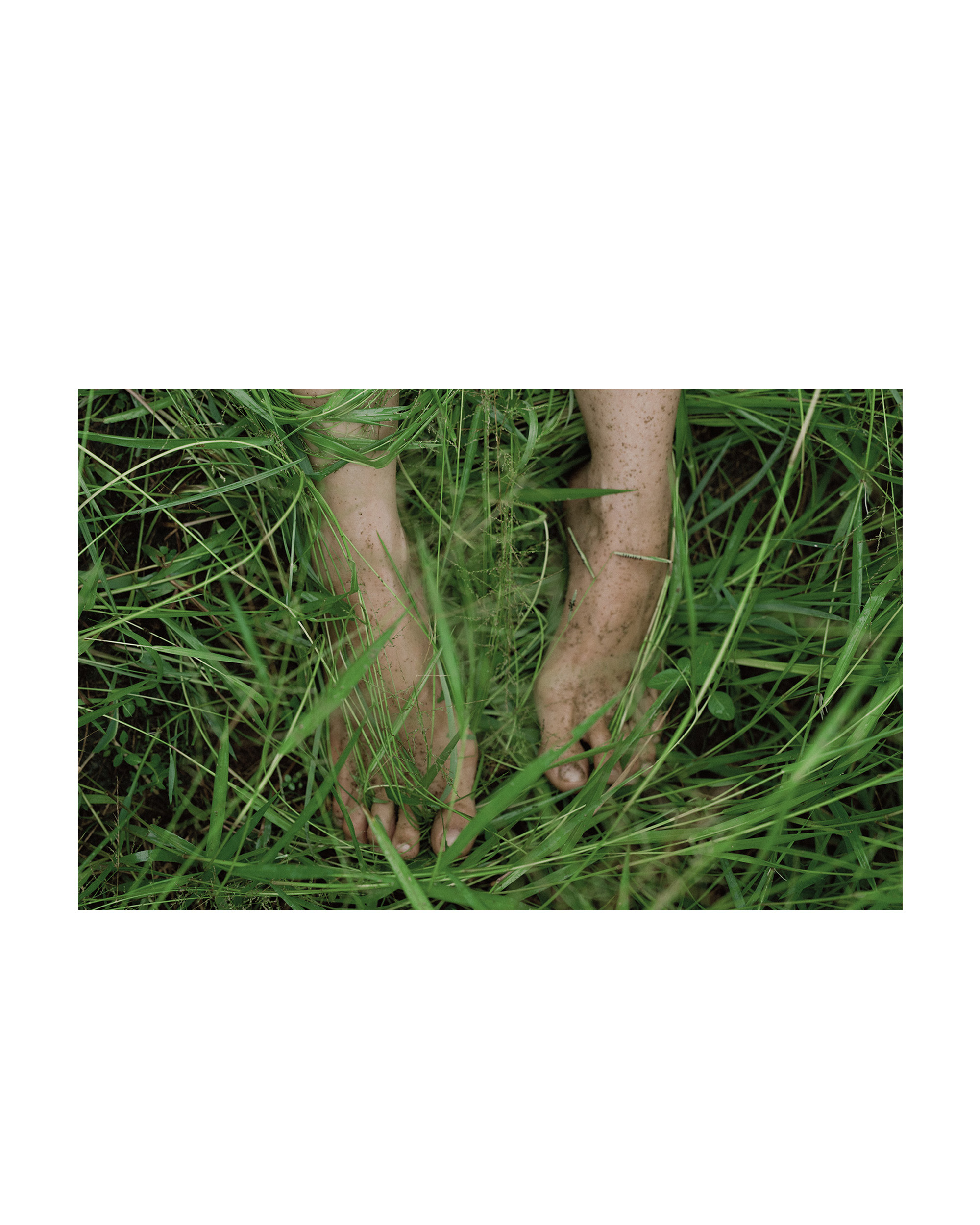 The Rooster Paradox.