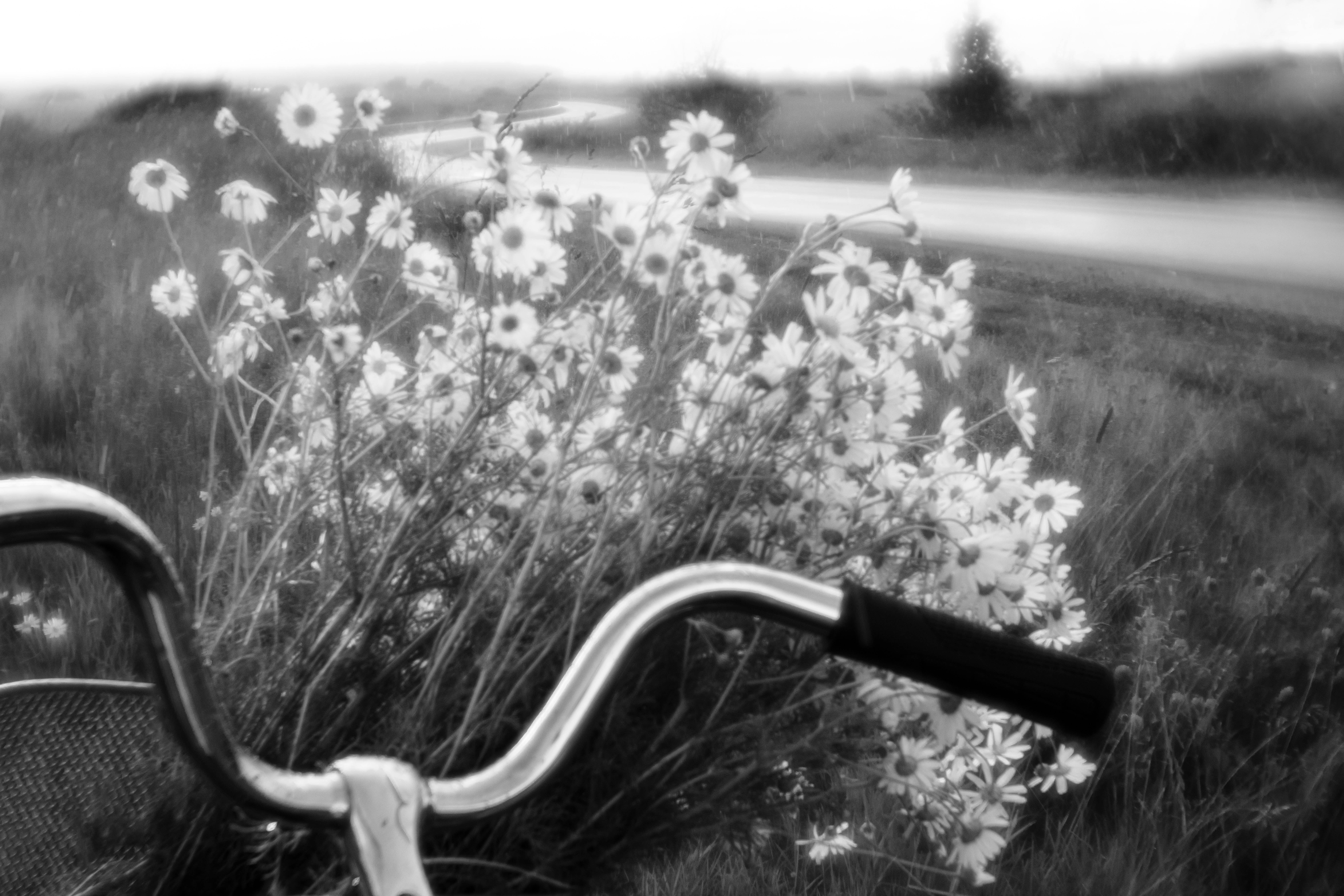 The middle of summer