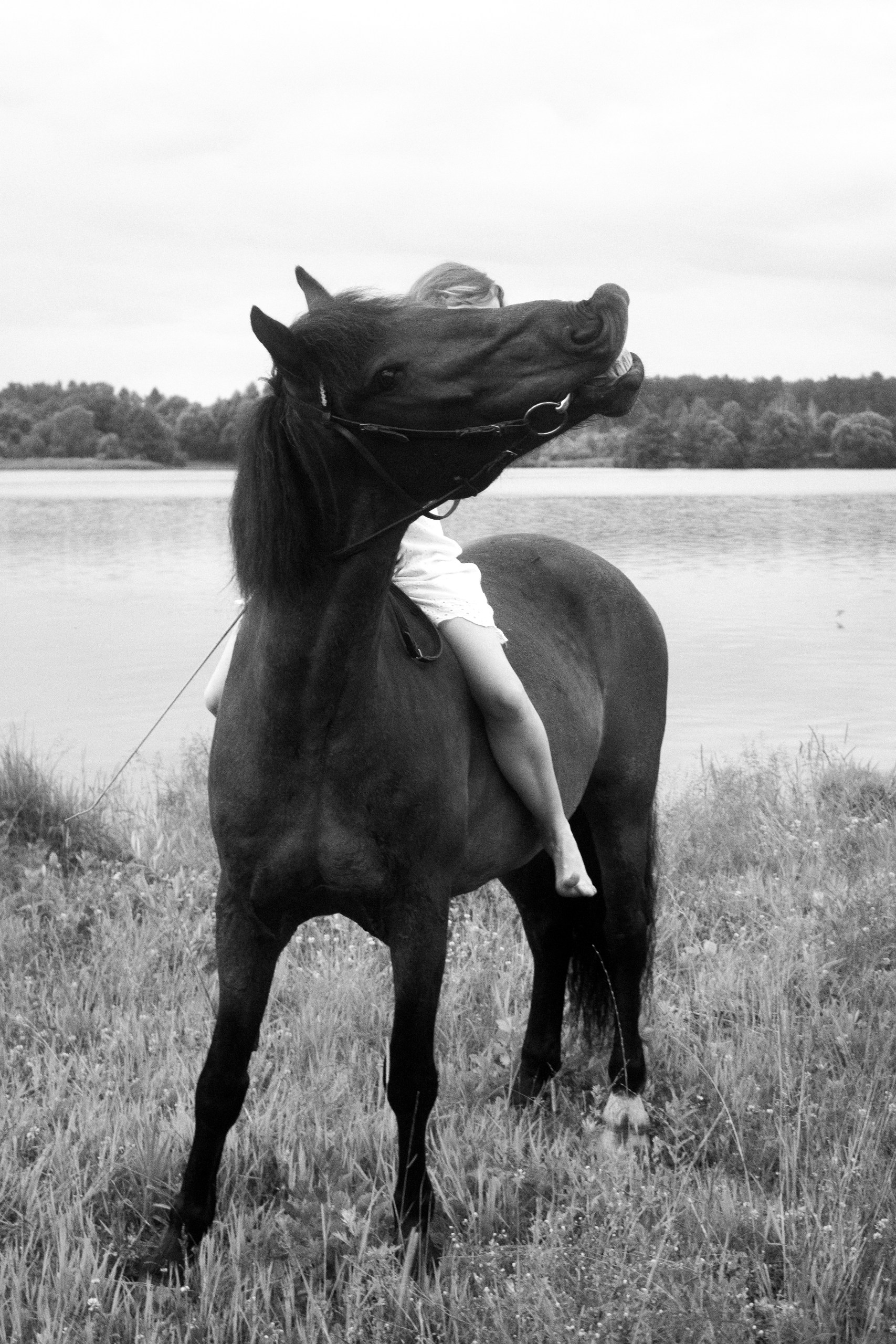 Wild Tenderness