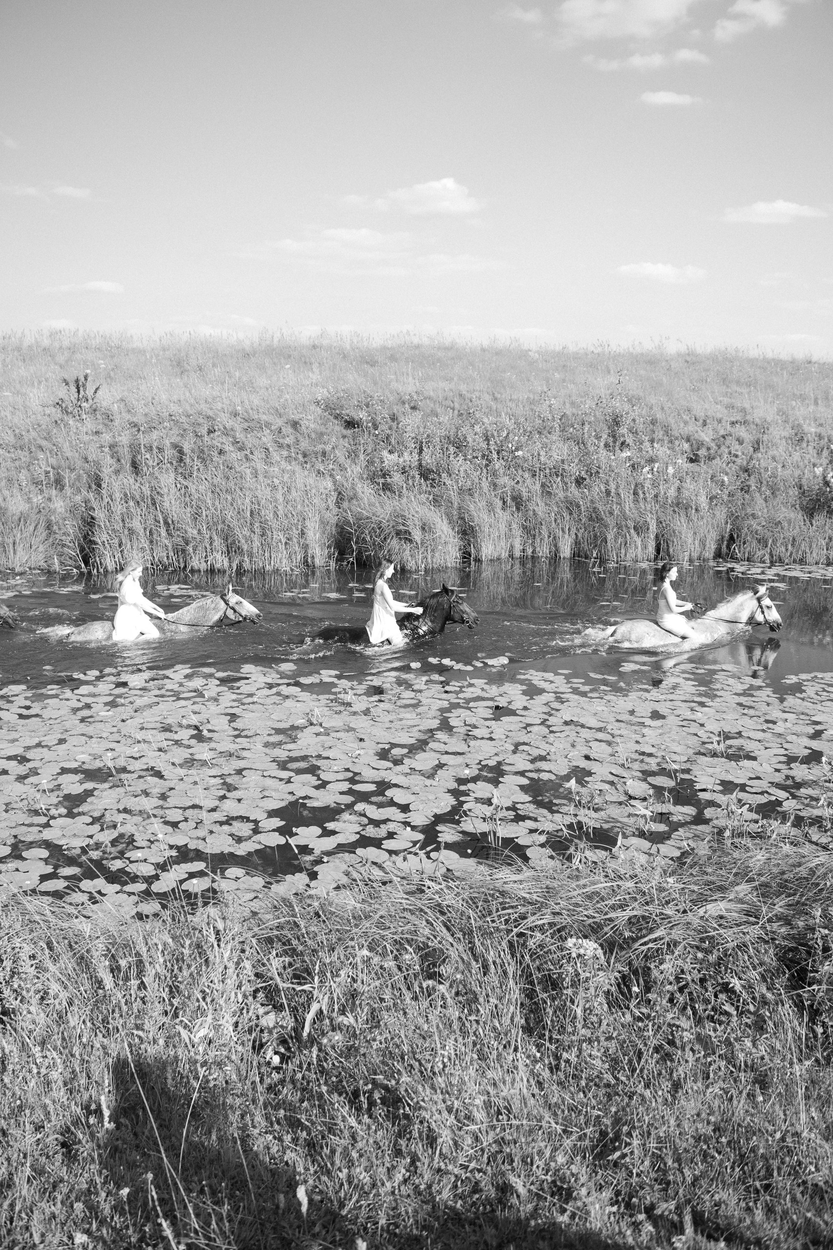 Between water and sky
