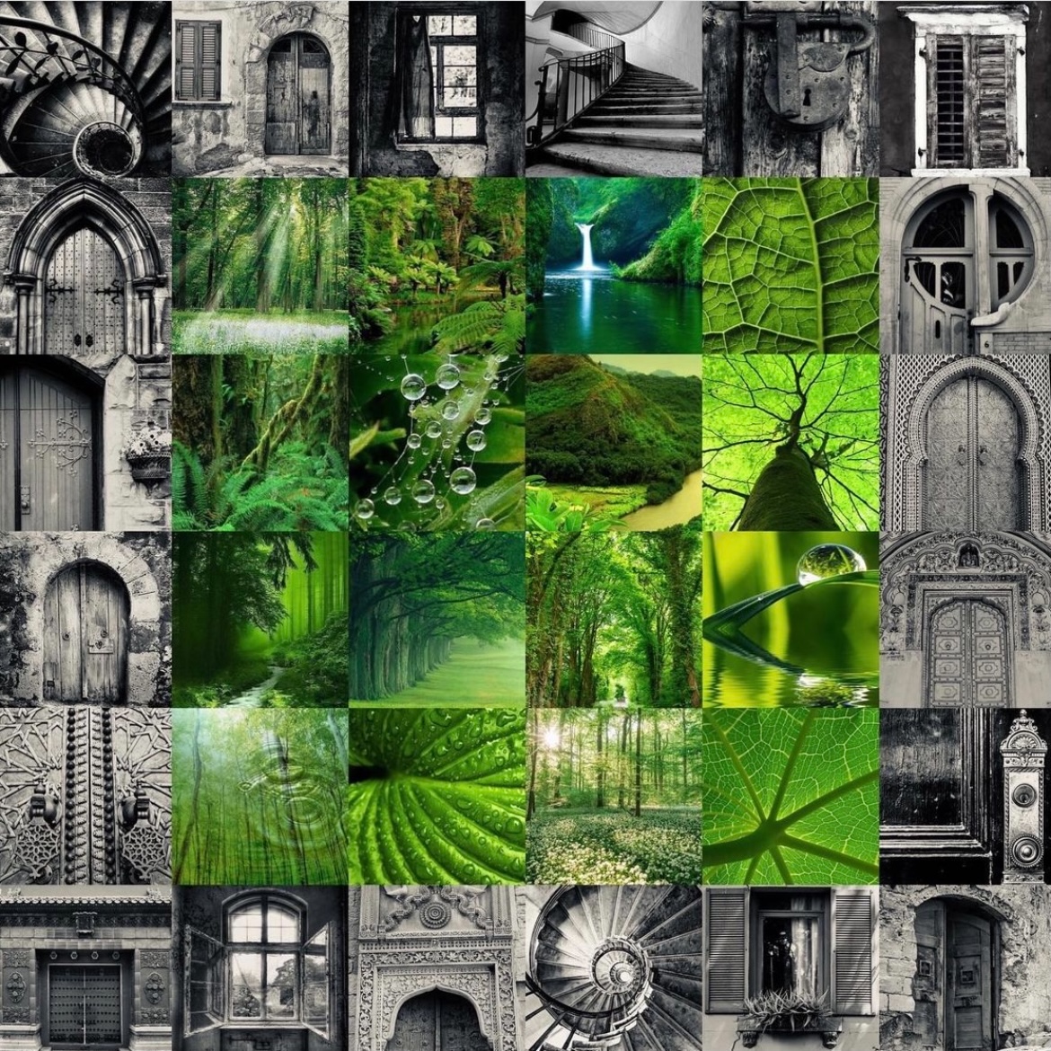 Green Refusing Silence