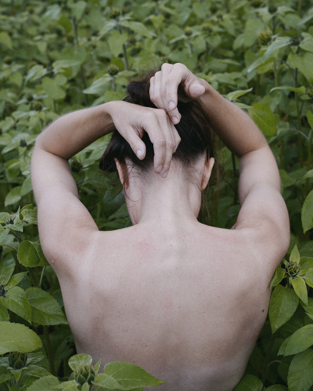 I will sprout flowers