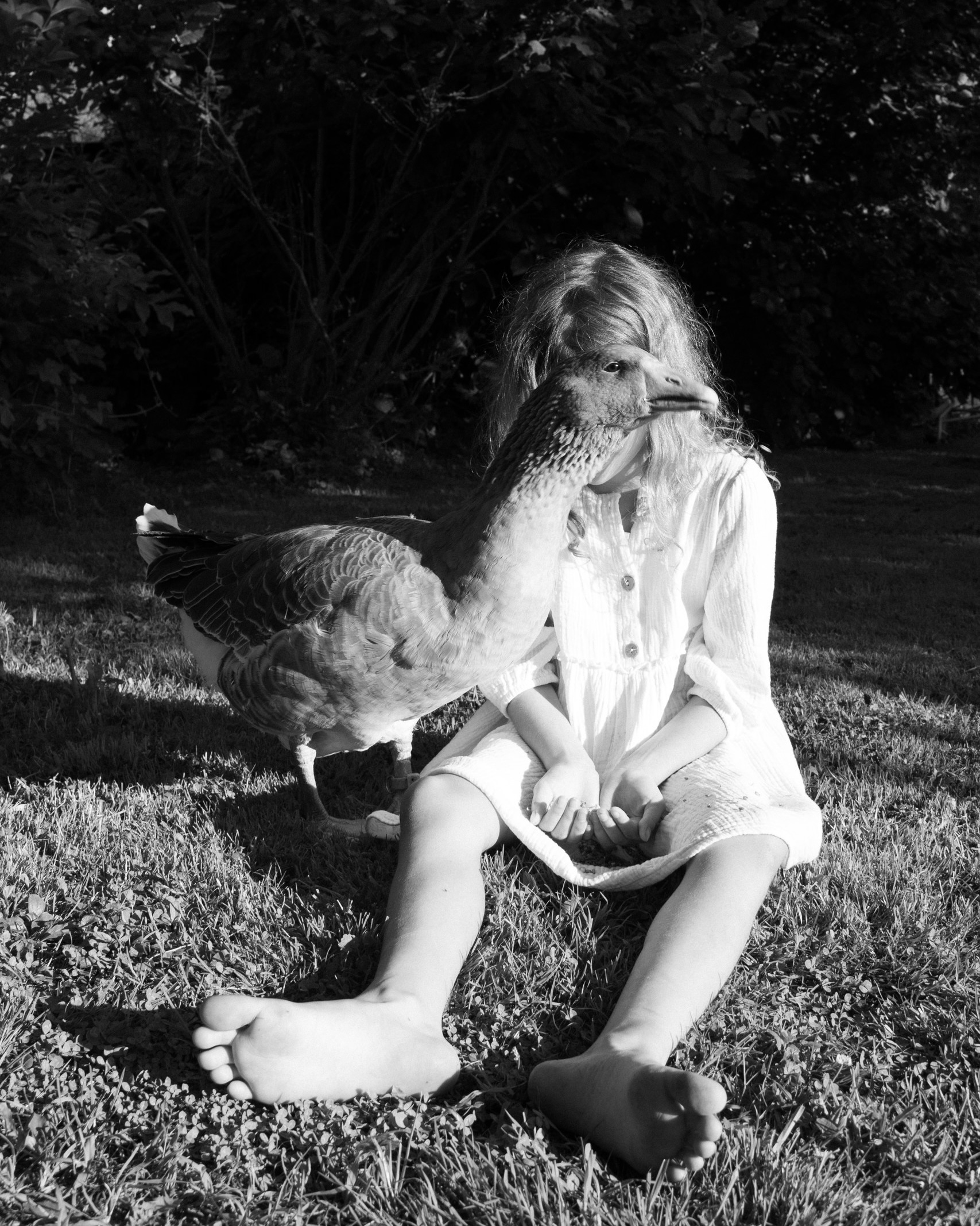 Summer in the shade of the garden