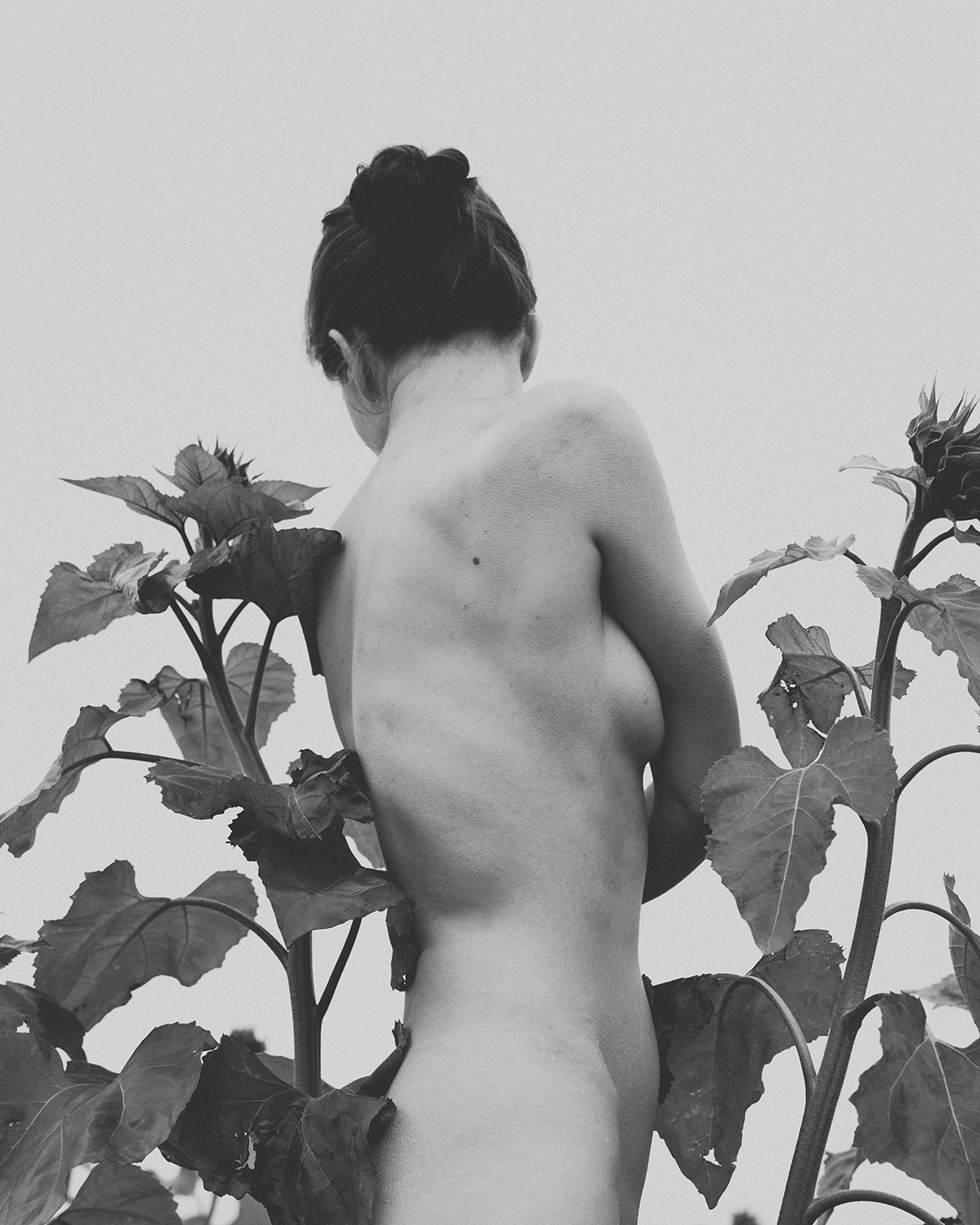 I will sprout flowers