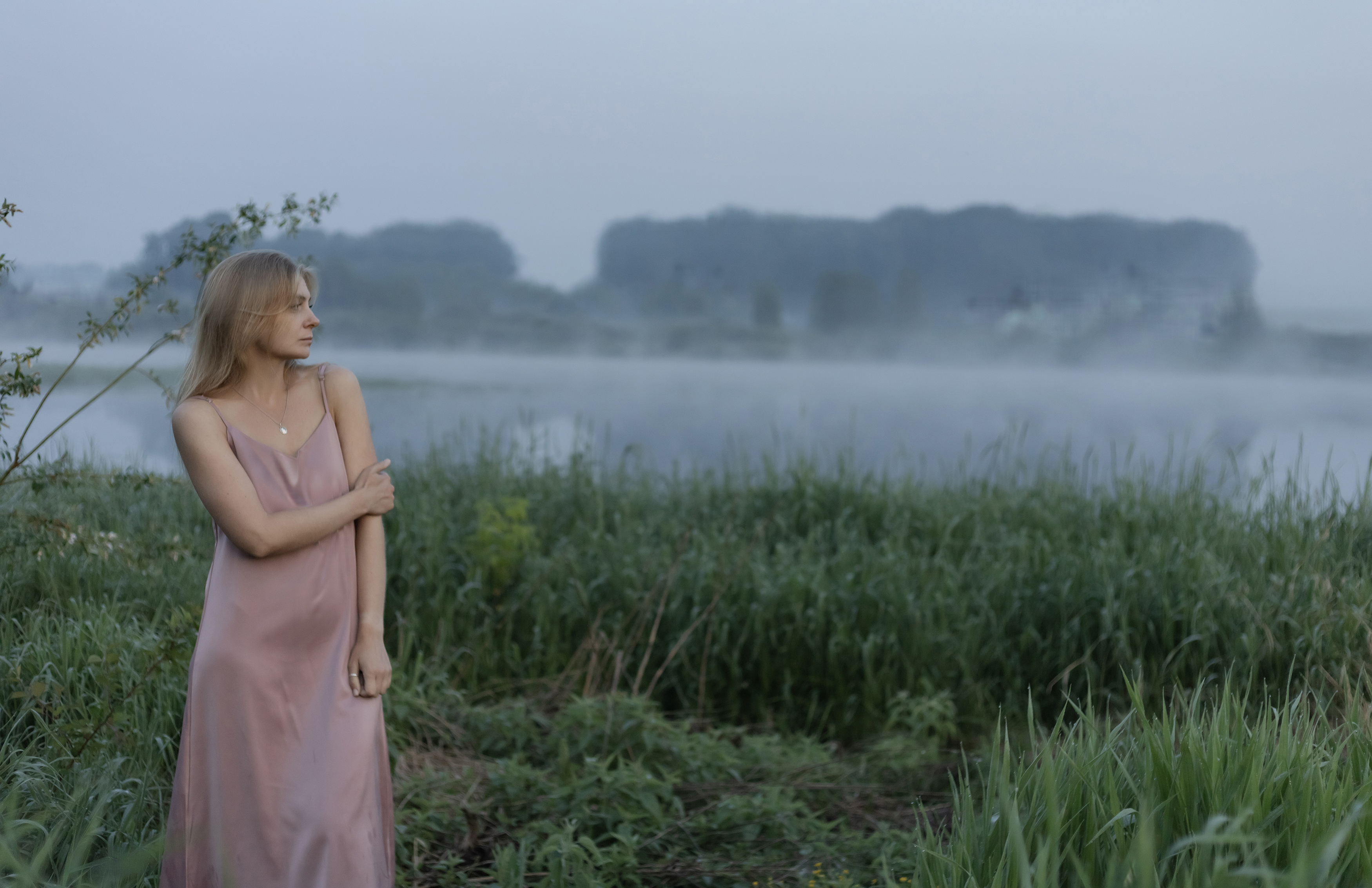 morning at the foggy lake