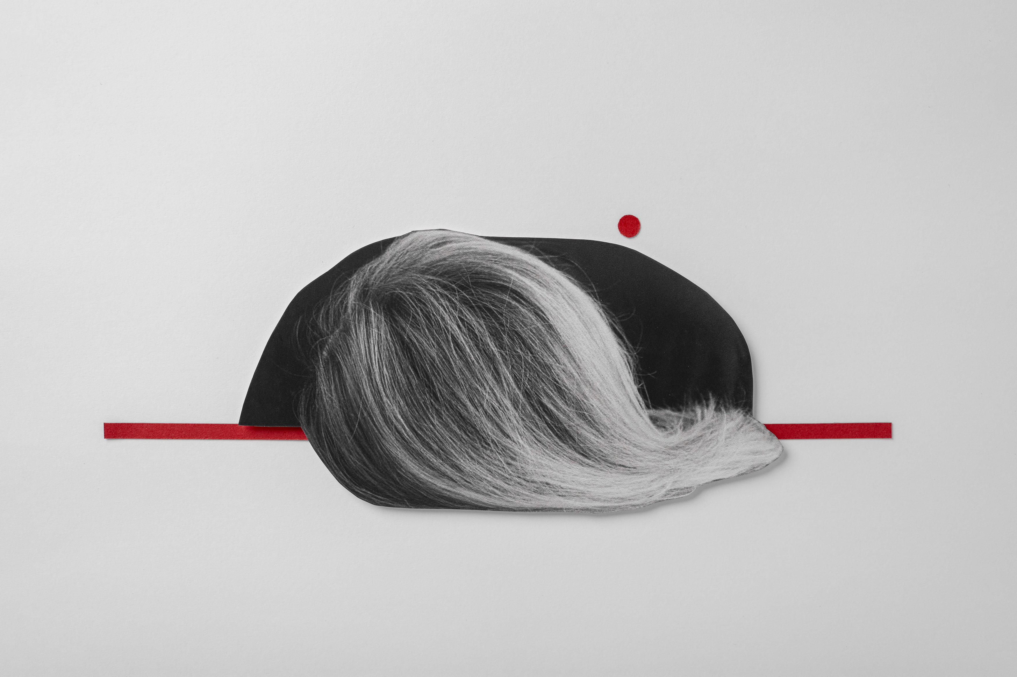 Thin.Not.Beautiful #12