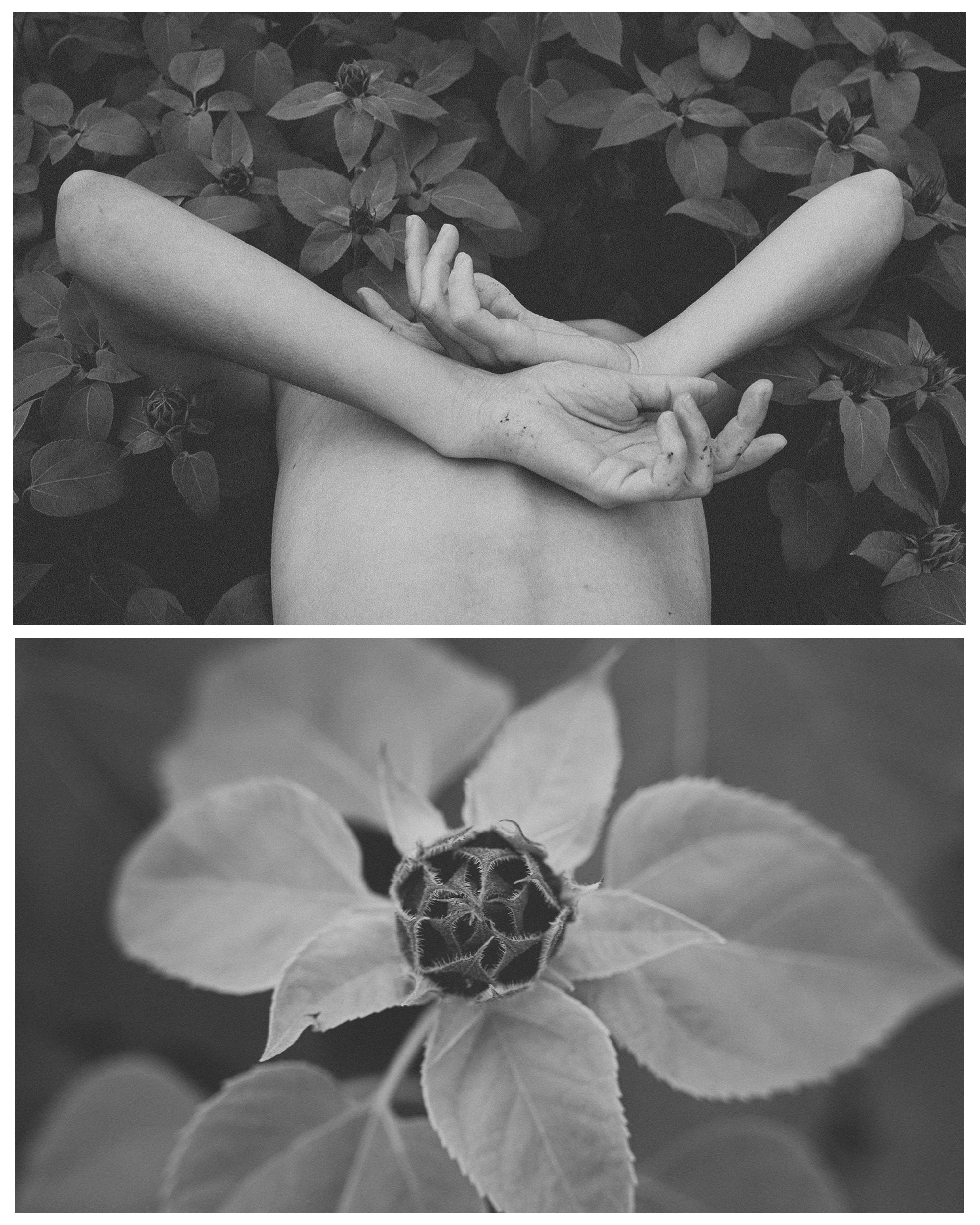 I will sprout flowers