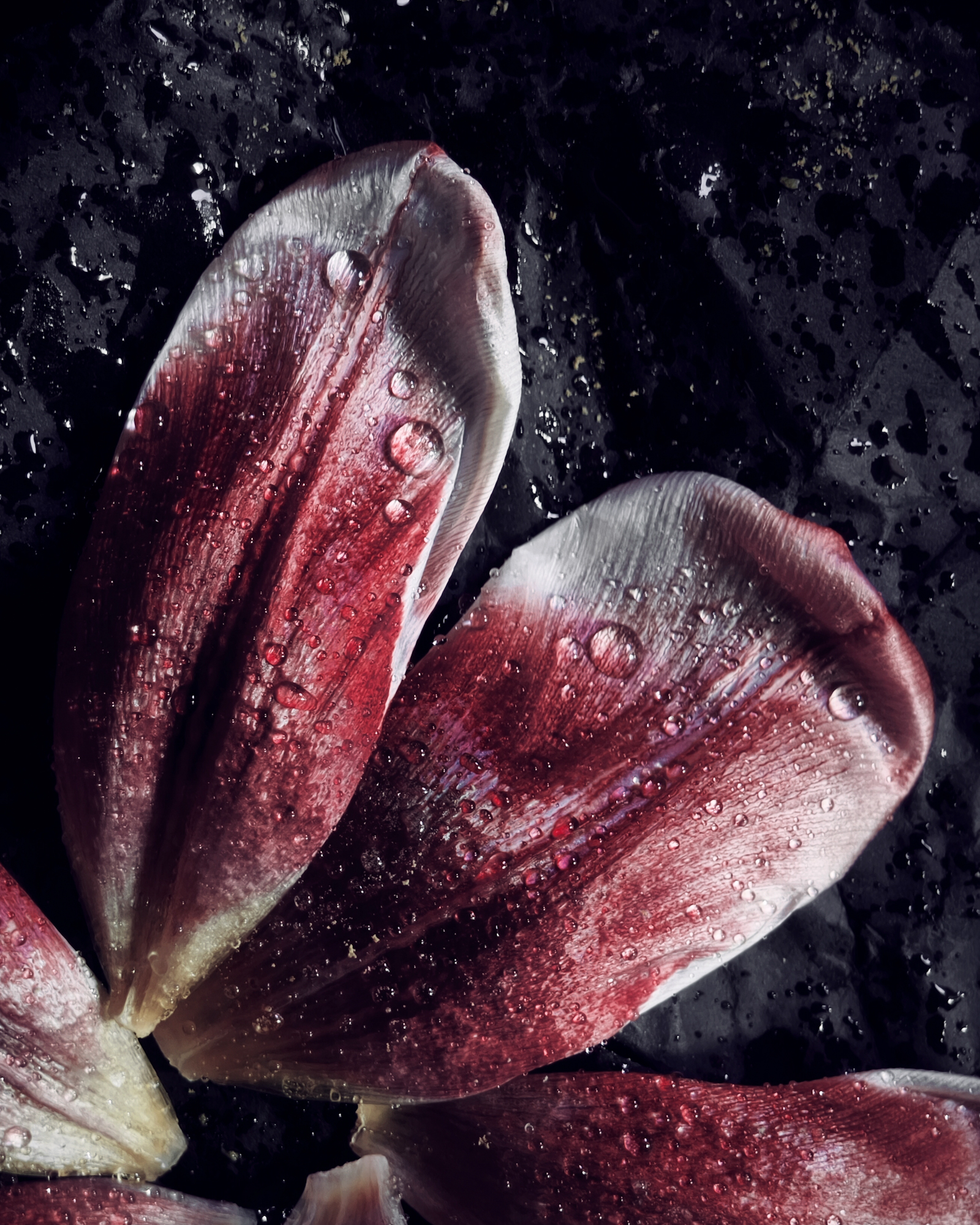 Splashes of champagne