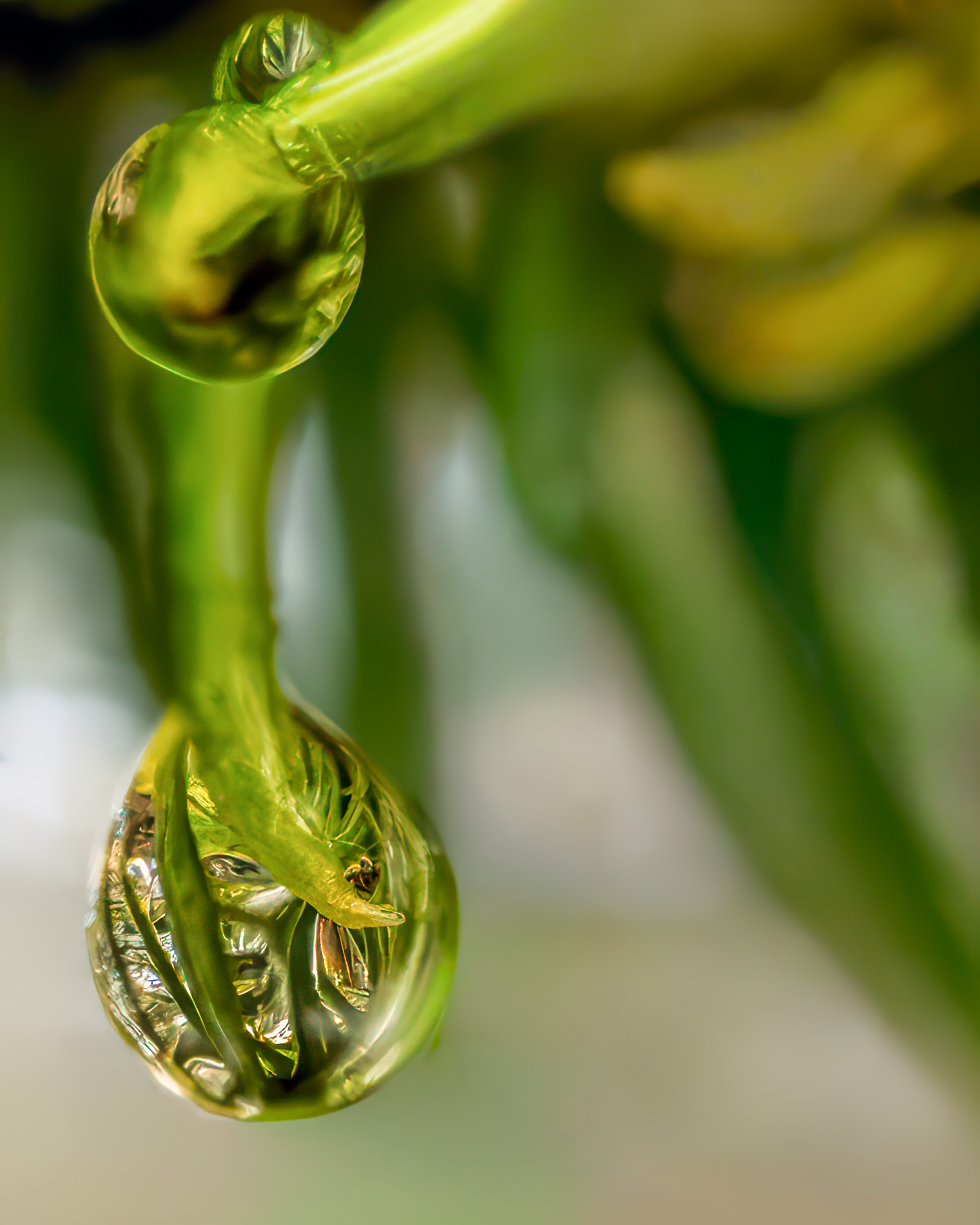 Between the Drops