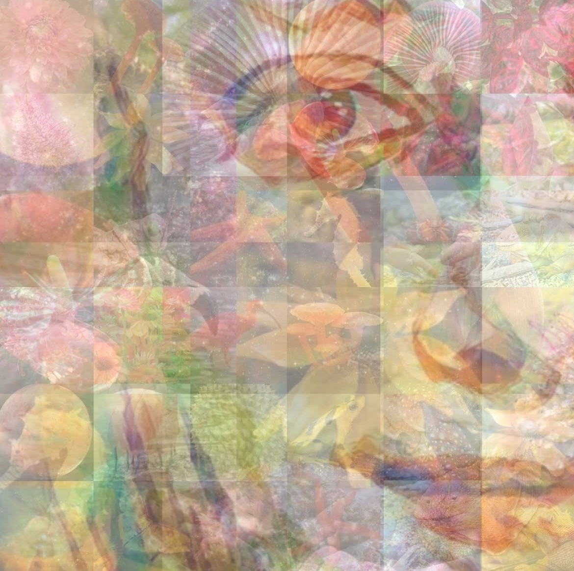 Irene Isabel Prestinary