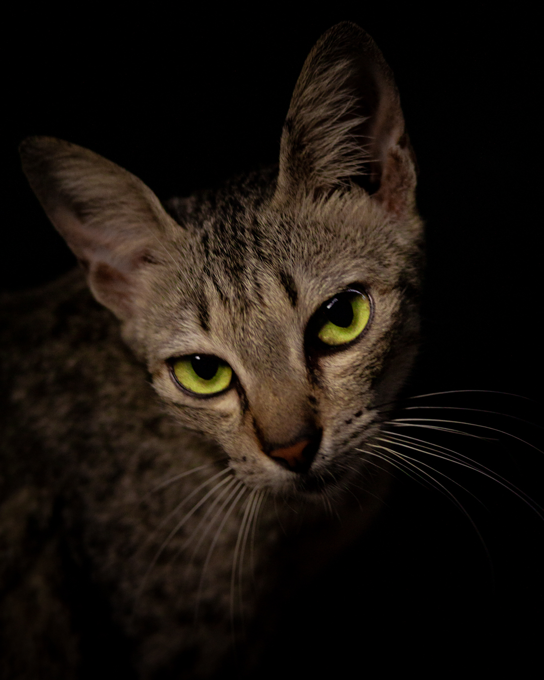 Cedrick Andrei Matias